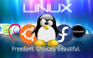 Linux_Wallpaper_1_by_technokoopa